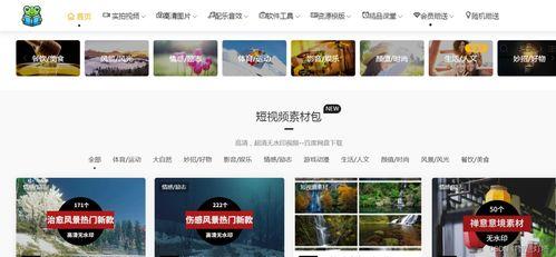 半成品爆料视频素材库在哪,探寻内容创作的秘密源泉  第1张